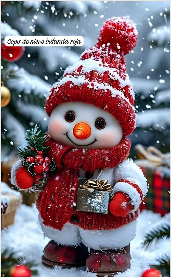 Funda Navideña para Puerta - Dale vida a tu entrada!